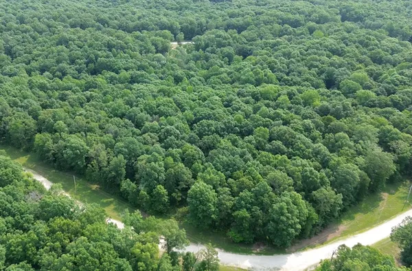 an aerial view of residential house with outdoor space and trees all around