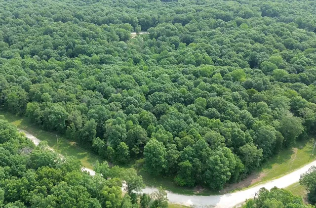 an aerial view of residential house with outdoor space and trees all around