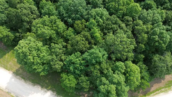 an aerial view of residential house with outdoor space and trees all around