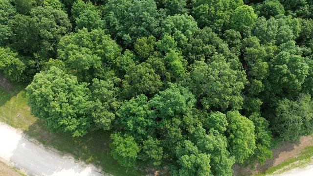 an aerial view of residential house with outdoor space and trees all around