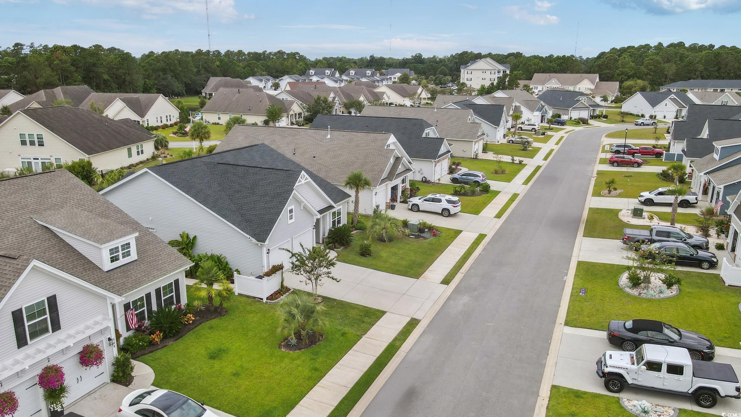 540 Canborough Lane Murrells Inlet, SC 29576 - Photo 4 of 40 Aerial view of residential area