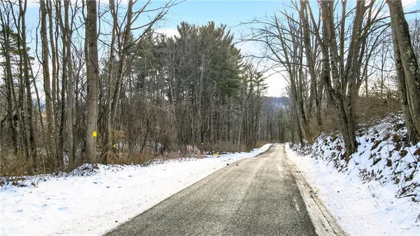a street view covered with snow