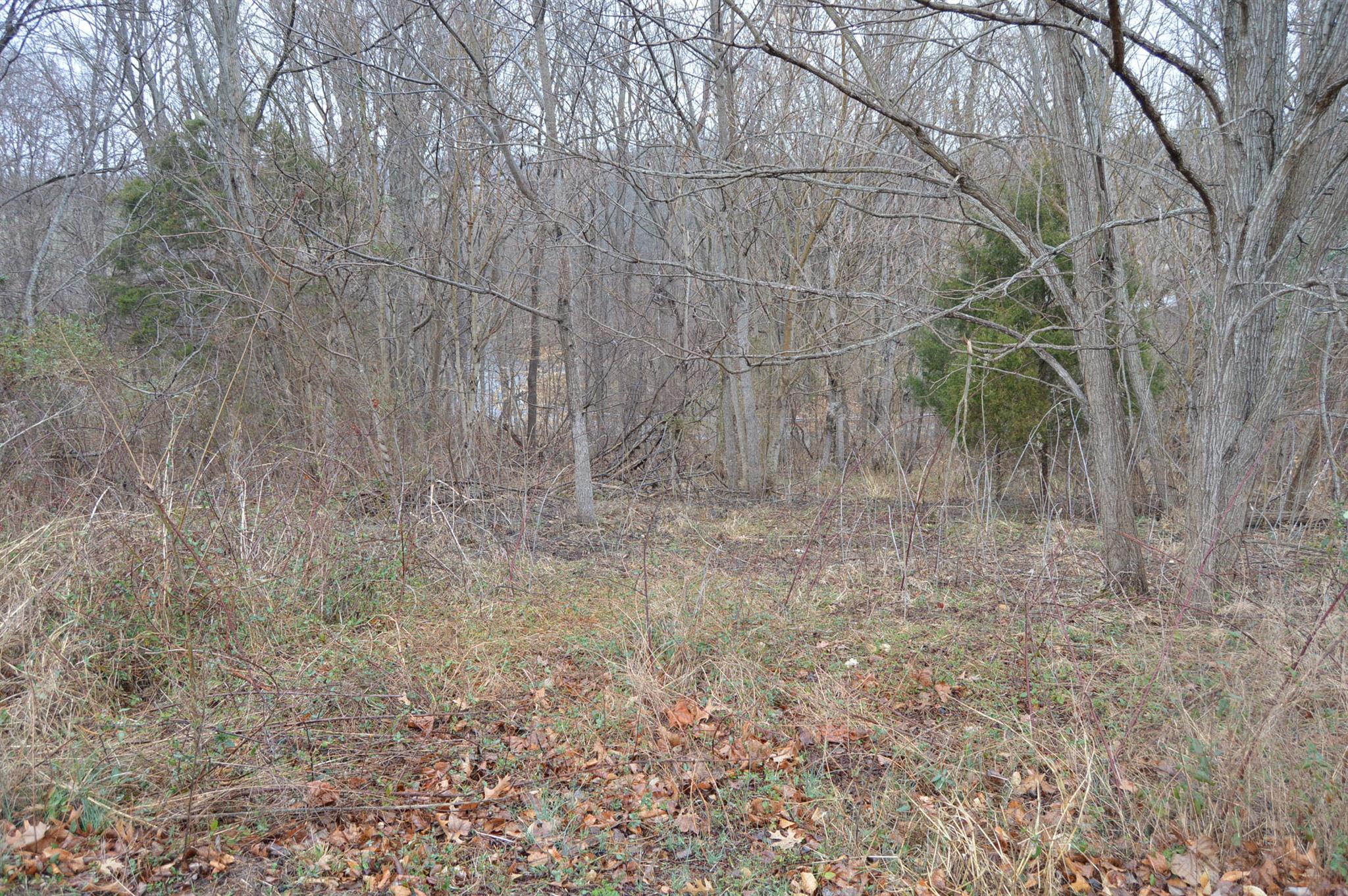 2997 Surrey Ridge Road Clarksville, TN 37043 - Photo 1 of 5 Gallery Image 1