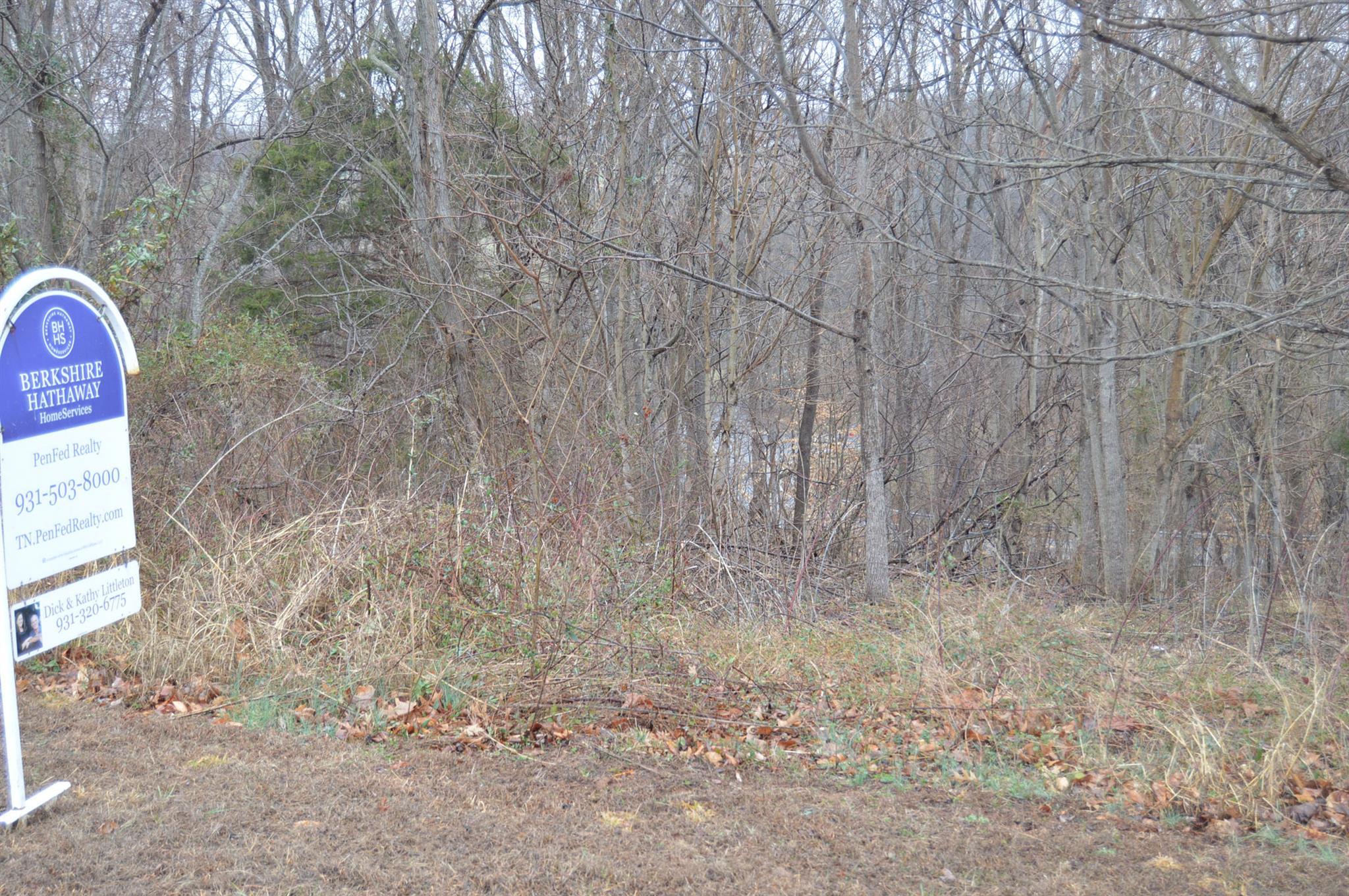 2997 Surrey Ridge Road Clarksville, TN 37043 - Photo 2 of 5 Gallery Image 2