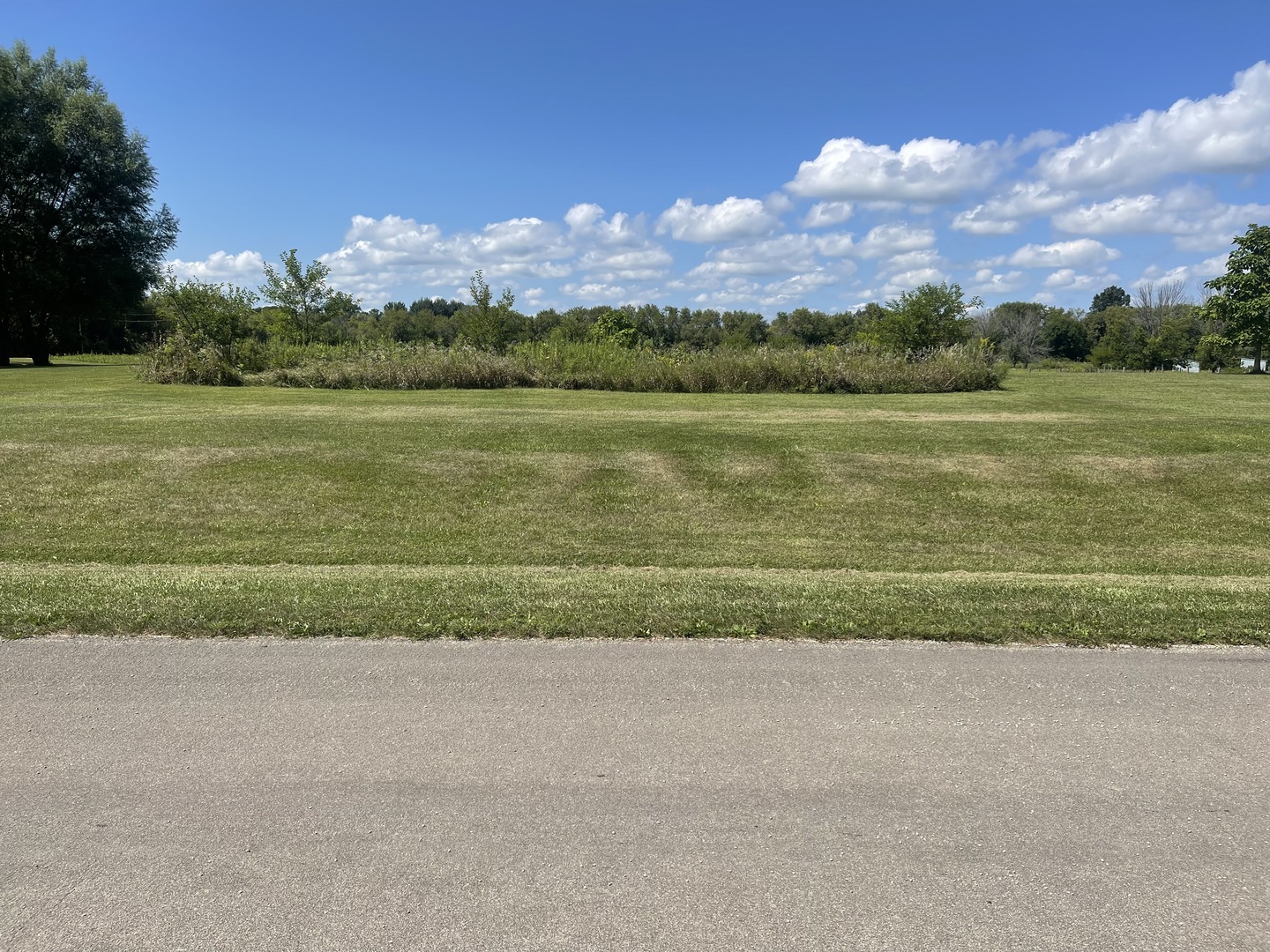 a view of a big yard with a large trees