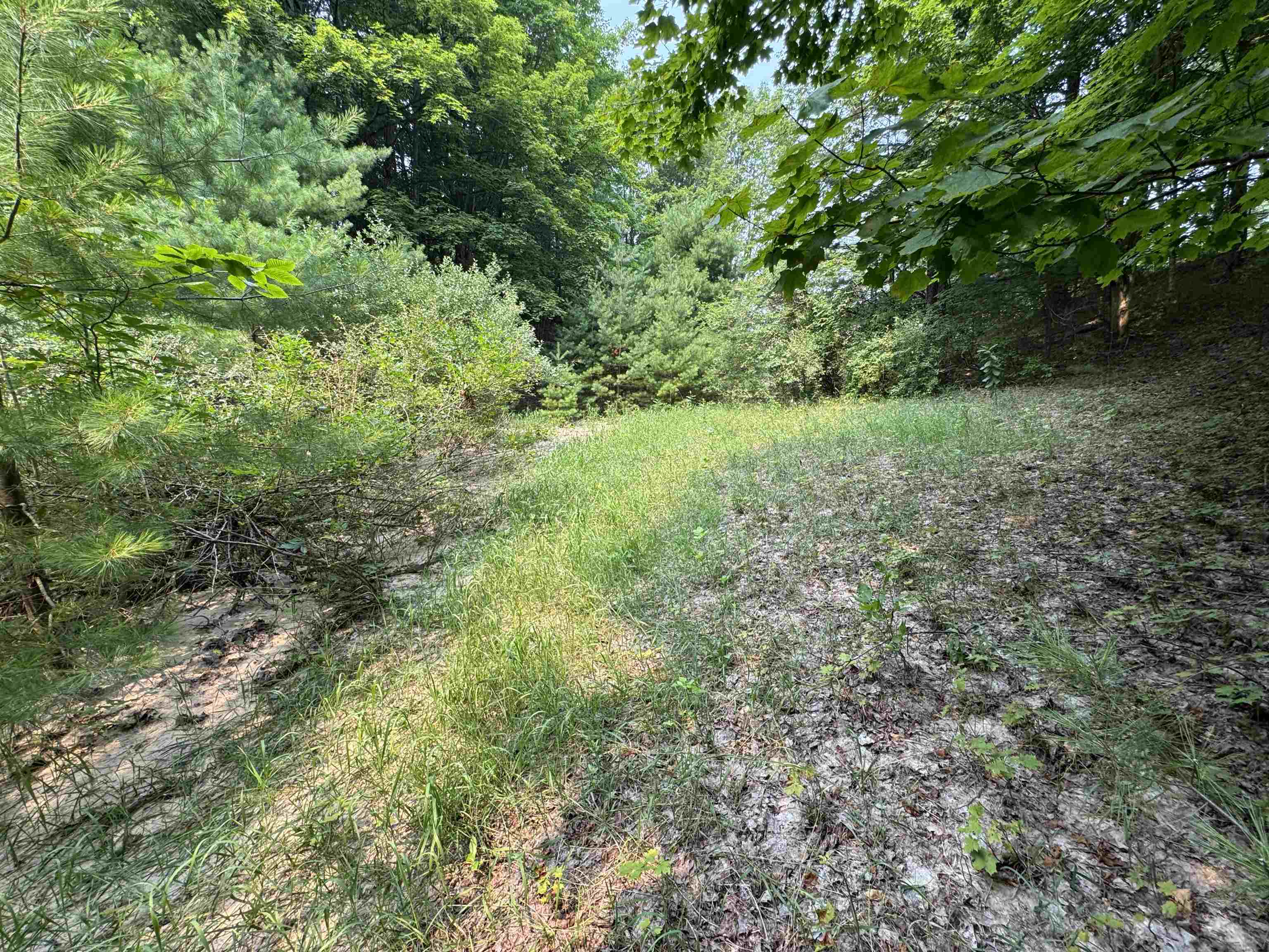 Lot #4 East Bellinger Road, Unit BELLINGER ESTATES Cedar, MI 49621 - Photo 7 of 27