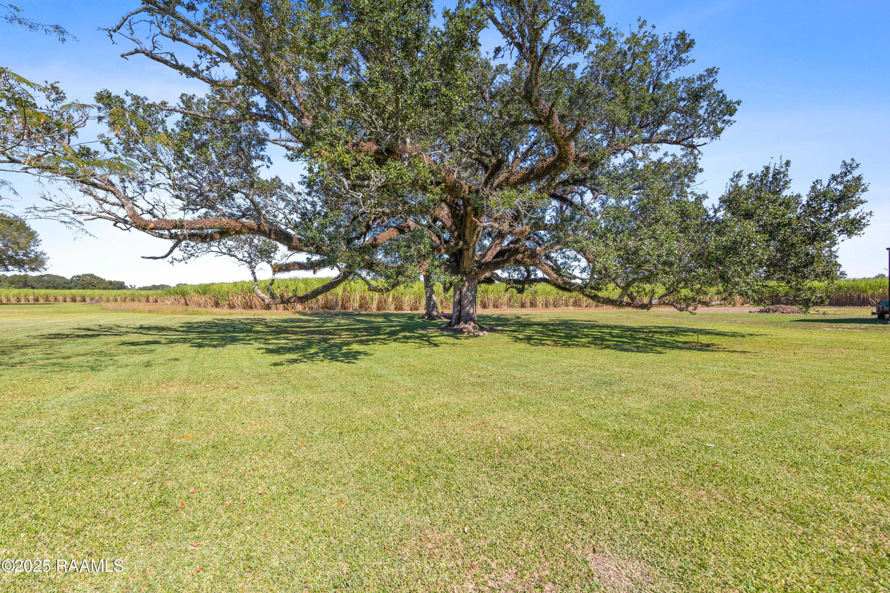 733 Highway 761 Church Point, LA 70525 - Photo 33 of 38 733LA761-9