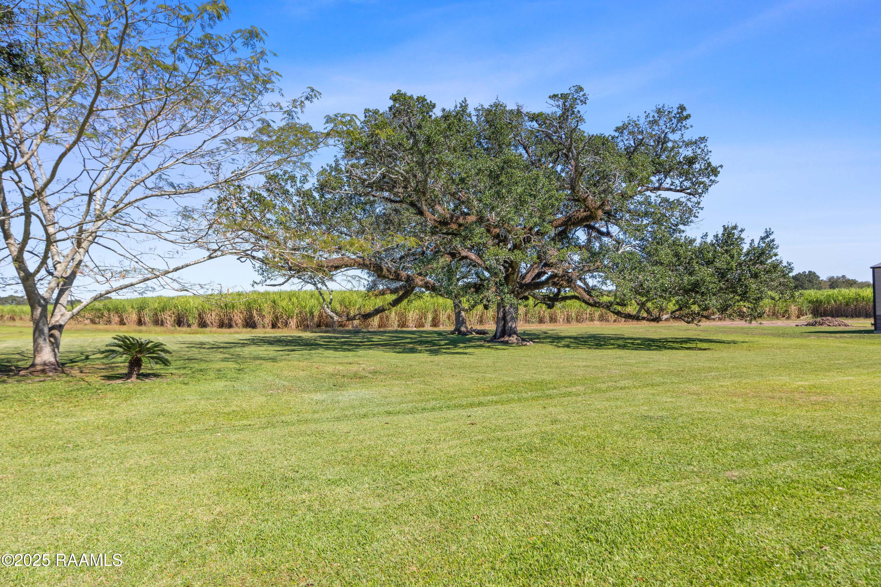 733 Highway 761 Church Point, LA 70525 - Photo 34 of 38 733LA761-7