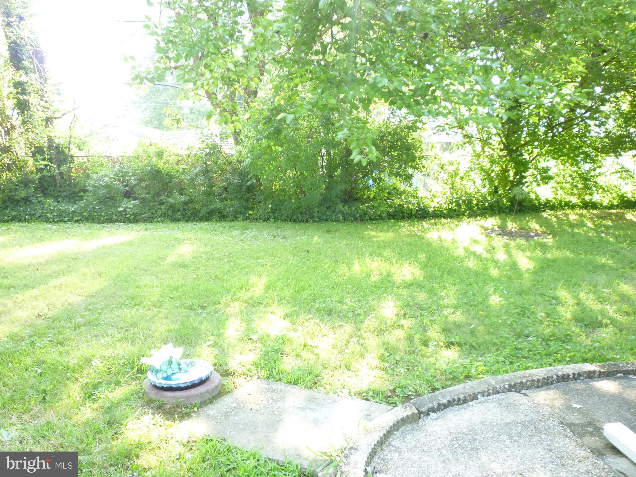 21 Merriman Road Newark, DE 19713 - Photo 43 of 44 Back yard view #2