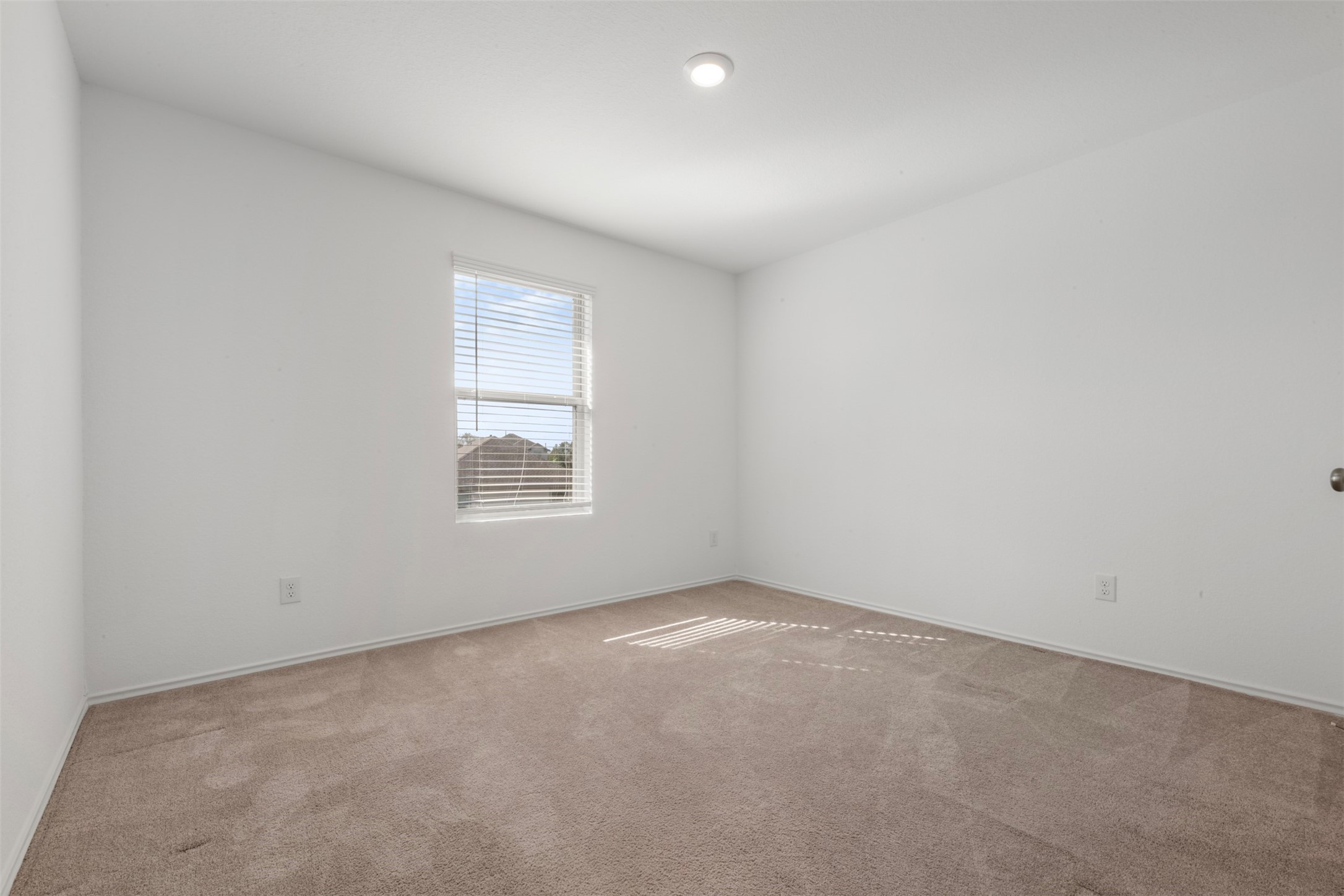 14538 Broadbury Pond Road Rosharon, TX 77583 - Photo 19 of 25
