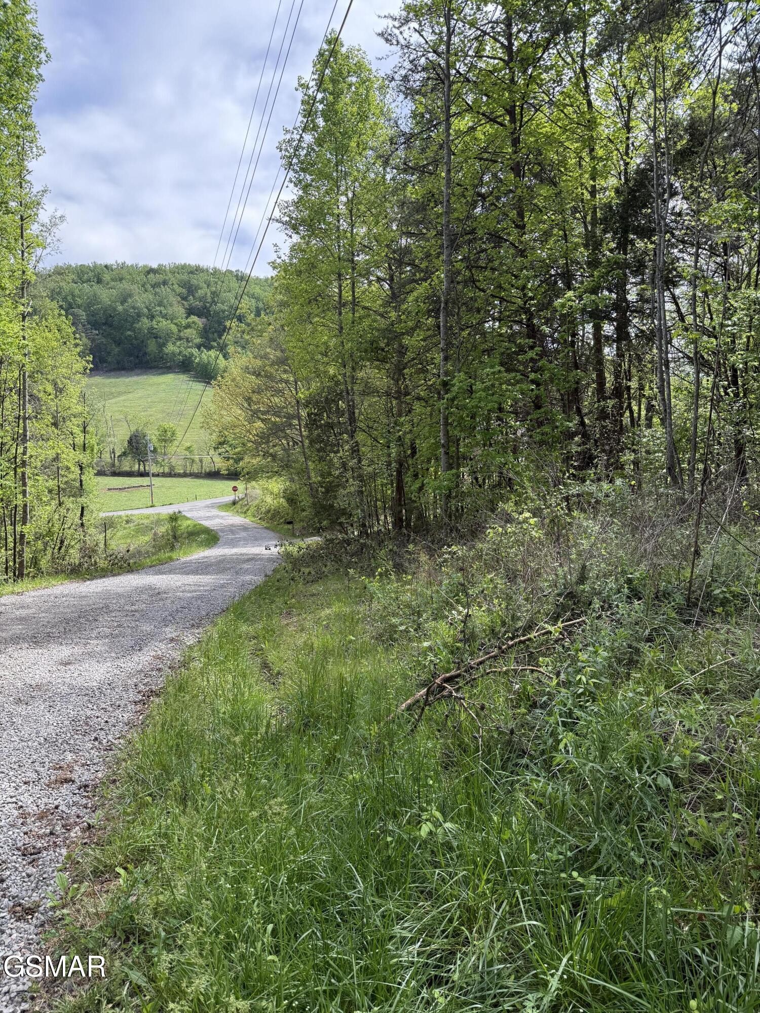 0 Dark Hollow Road Cosby, TN 37722 - Photo 14 of 17 Gallery Image 14