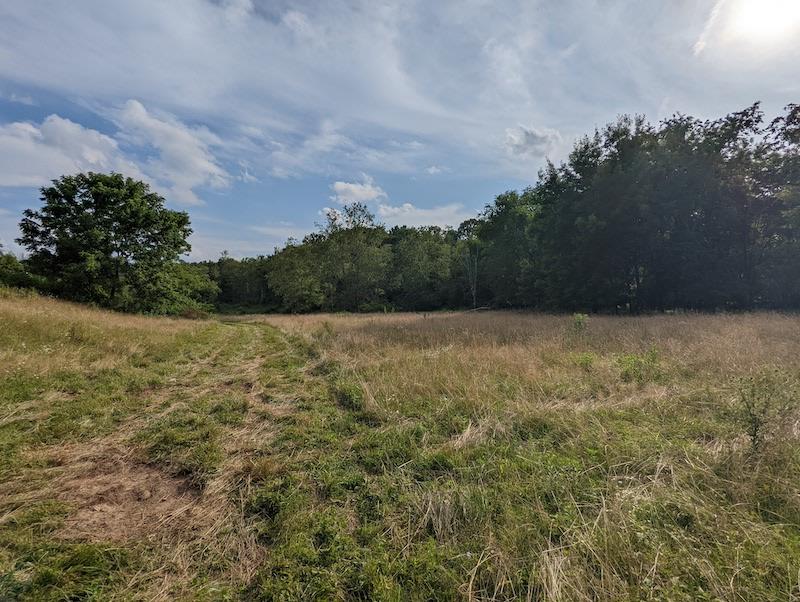 Tbd Red Oak Grove Road Northeast Floyd, VA 24091 - Photo 20 of 33 Gallery Image 20