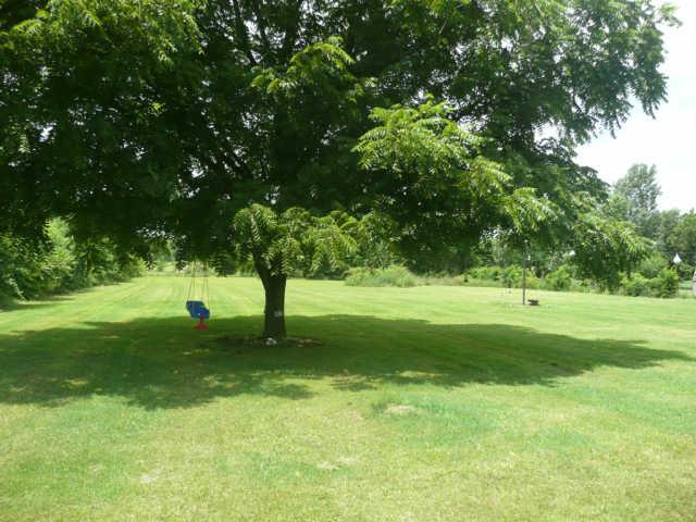 3478 Beckwith Road Mount Juliet, TN 37122 - Photo 2 of 14 ANOTHER VIEW OF BACKYARD