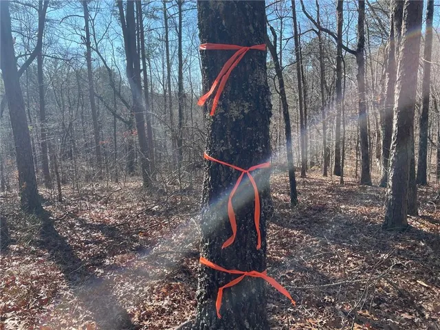 $139,000 | 1 Old Federal Road, Talking Rock, GA 30175