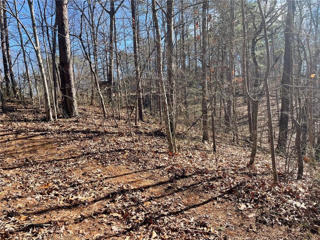 1 Old Federal Road Talking Rock, GA 30175 - Photo 2 of 11