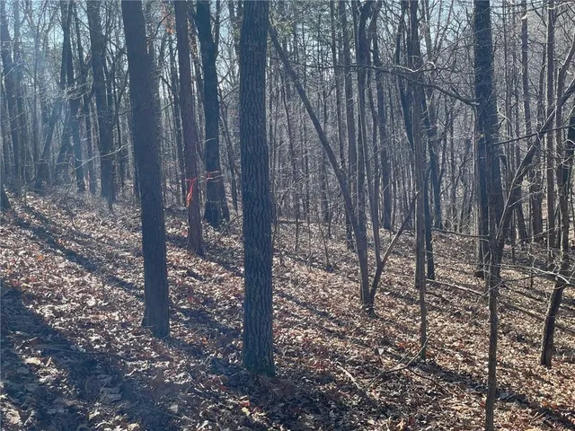 $139,000 | 1 Old Federal Road, Talking Rock, GA 30175