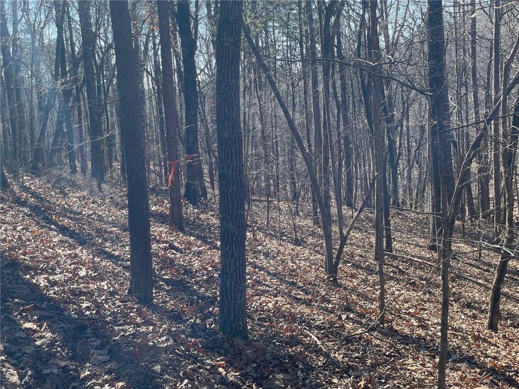 1 Old Federal Road Talking Rock, GA 30175 - Photo 3 of 11