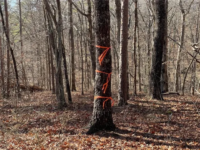 $139,000 | 1 Old Federal Road, Talking Rock, GA 30175