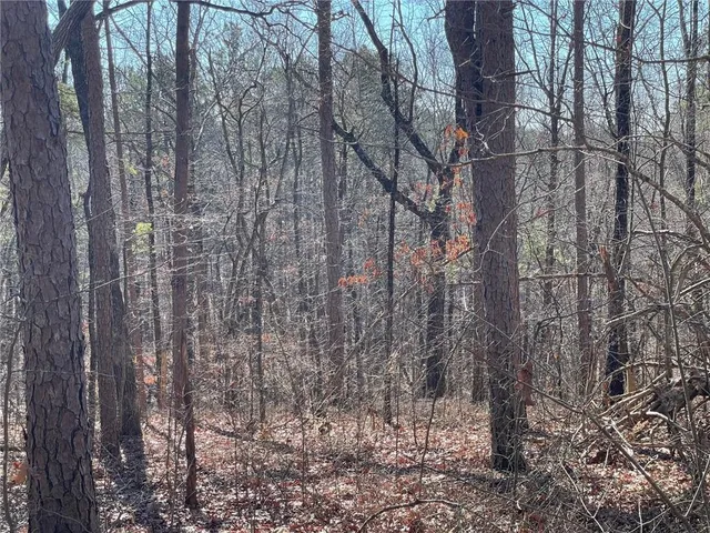 $139,000 | 1 Old Federal Road, Talking Rock, GA 30175