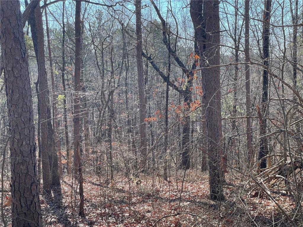 1 Old Federal Road Talking Rock, GA 30175 - Photo 5 of 11