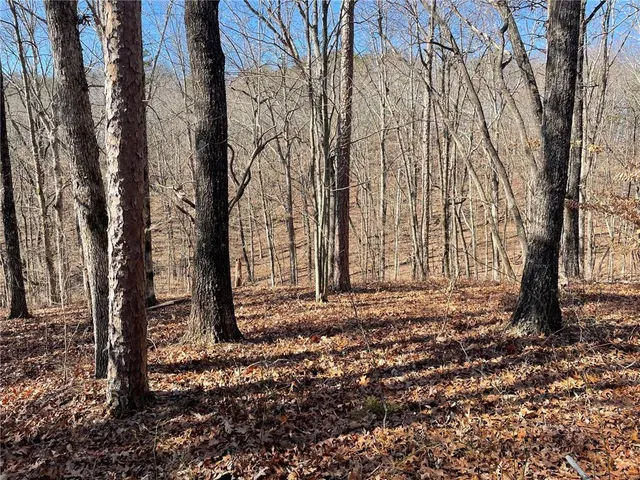 $139,000 | 1 Old Federal Road, Talking Rock, GA 30175