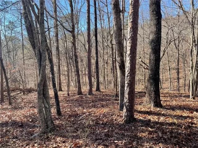 $139,000 | 1 Old Federal Road, Talking Rock, GA 30175