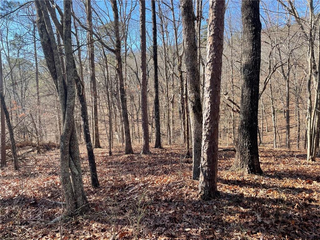 1 Old Federal Road Talking Rock, GA 30175 - Photo 7 of 11