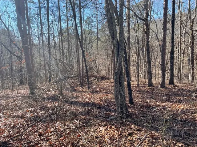 $139,000 | 1 Old Federal Road, Talking Rock, GA 30175