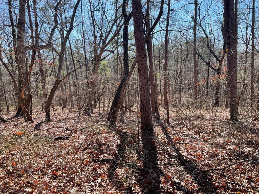 1 Old Federal Road Talking Rock, GA 30175 - Photo 9 of 11