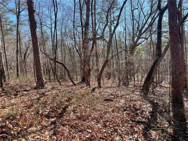 $139,000 | 1 Old Federal Road, Talking Rock, GA 30175