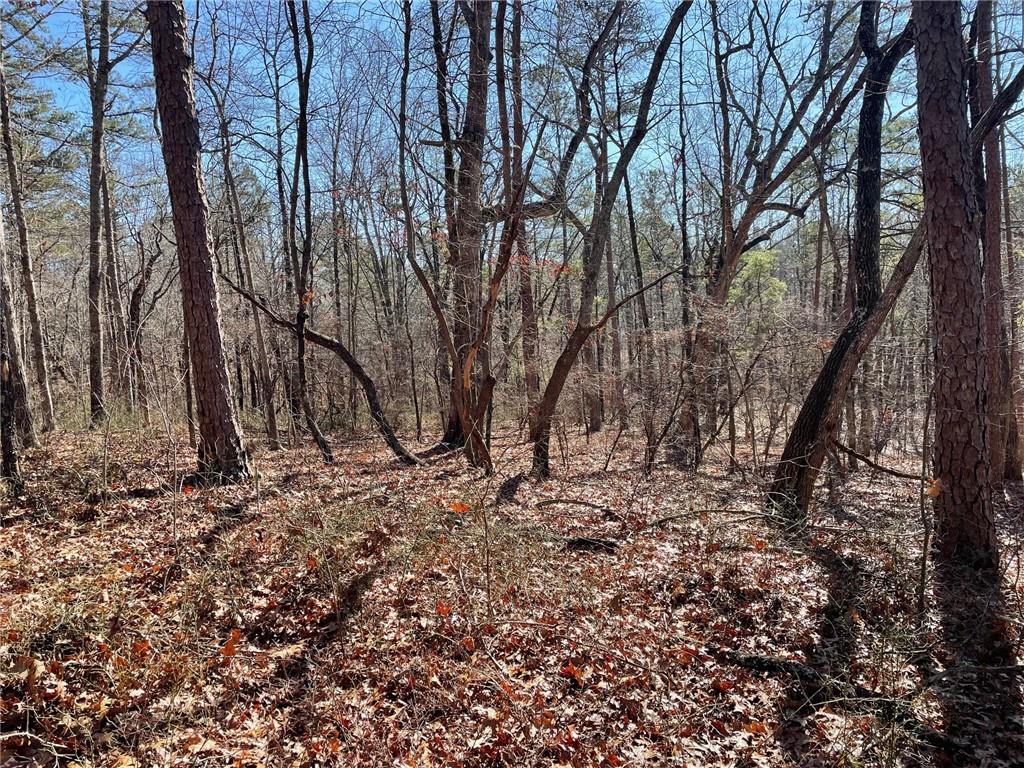 1 Old Federal Road Talking Rock, GA 30175 - Photo 10 of 11