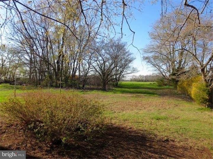 416 Big Oak Road Bridgeton, NJ 08302 - Photo 16 of 17 Back Yard