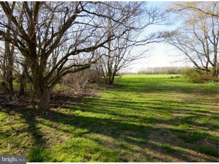 416 Big Oak Road Bridgeton, NJ 08302 - Photo 17 of 17 Back Yard