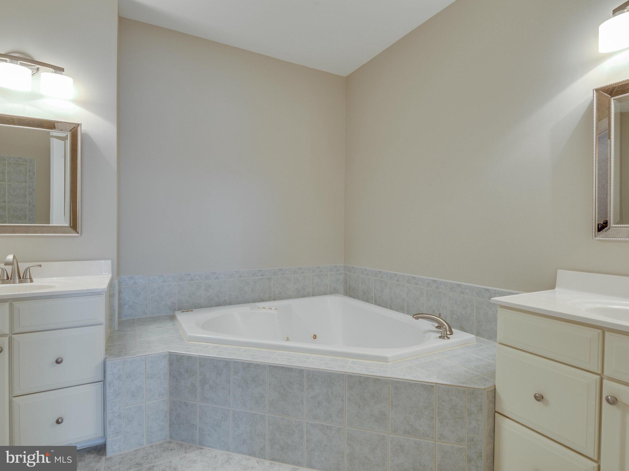 20043 Valhalla Square Ashburn, VA 20147 - Photo 16 of 30 Bath (Master)