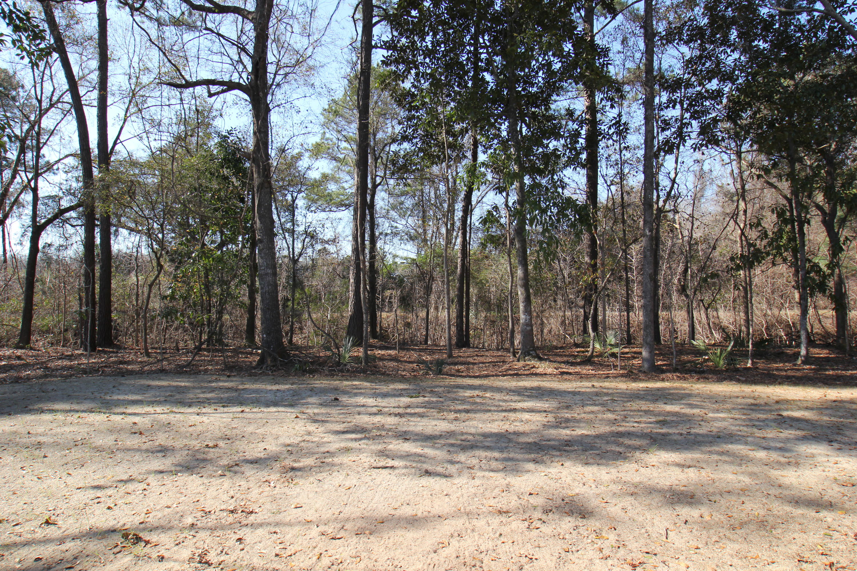 3370 Berryhill Road Johns Island, SC 29455 - Photo 11 of 12 Backyard