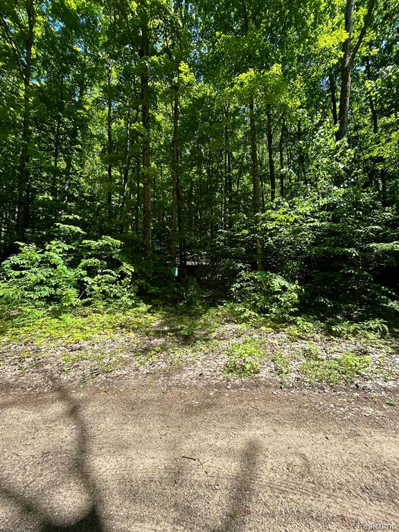 Vl Smith Lake Road Mancelona, MI 49659 - Photo 4 of 9