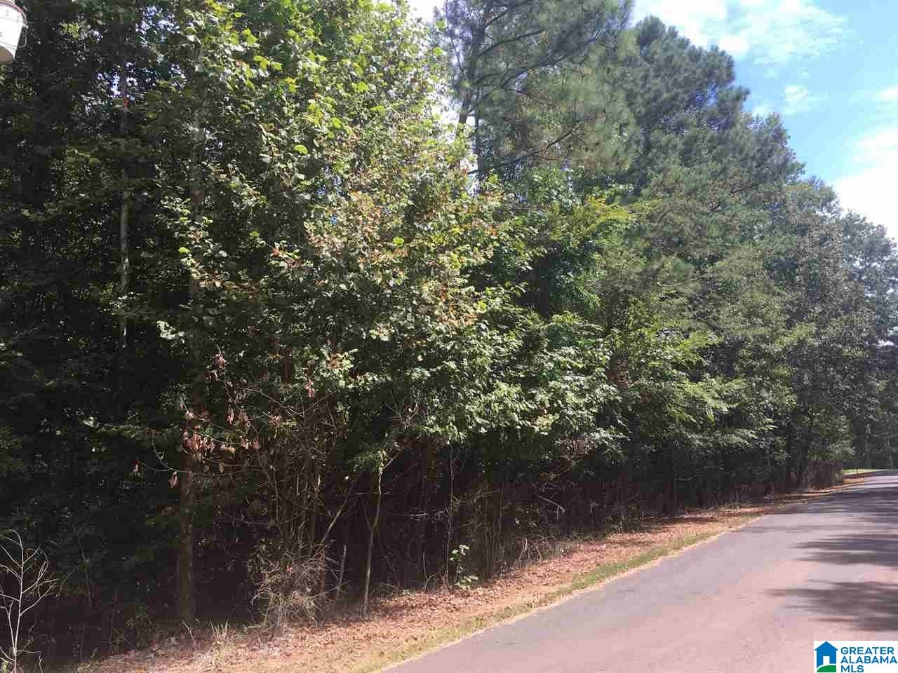 Old Village Road McCalla, AL 35111 - Photo 1 of 12