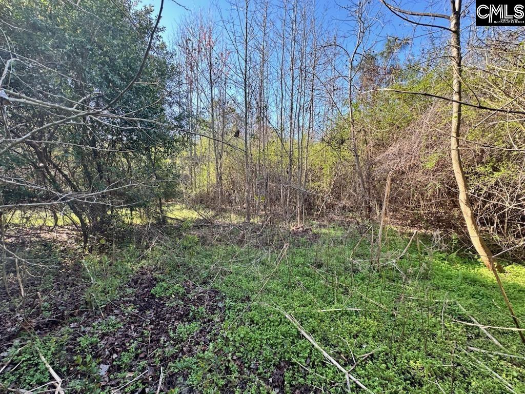 Tbd Blewer Road Cordova, SC 29039 - Photo 6 of 13