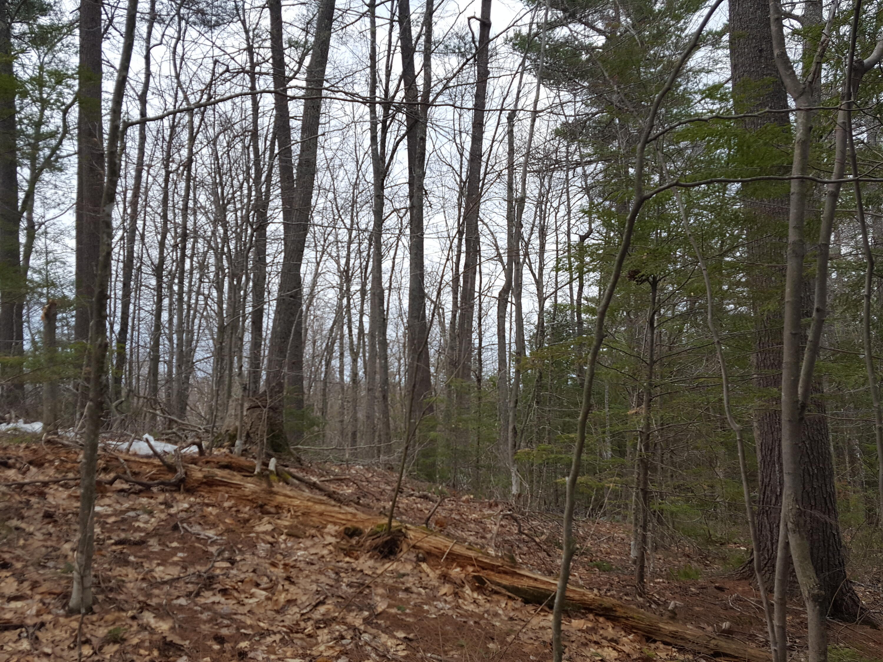 48 Higgins Hill Road Casco, ME 04015 - Photo 16 of 24 20230421_112441