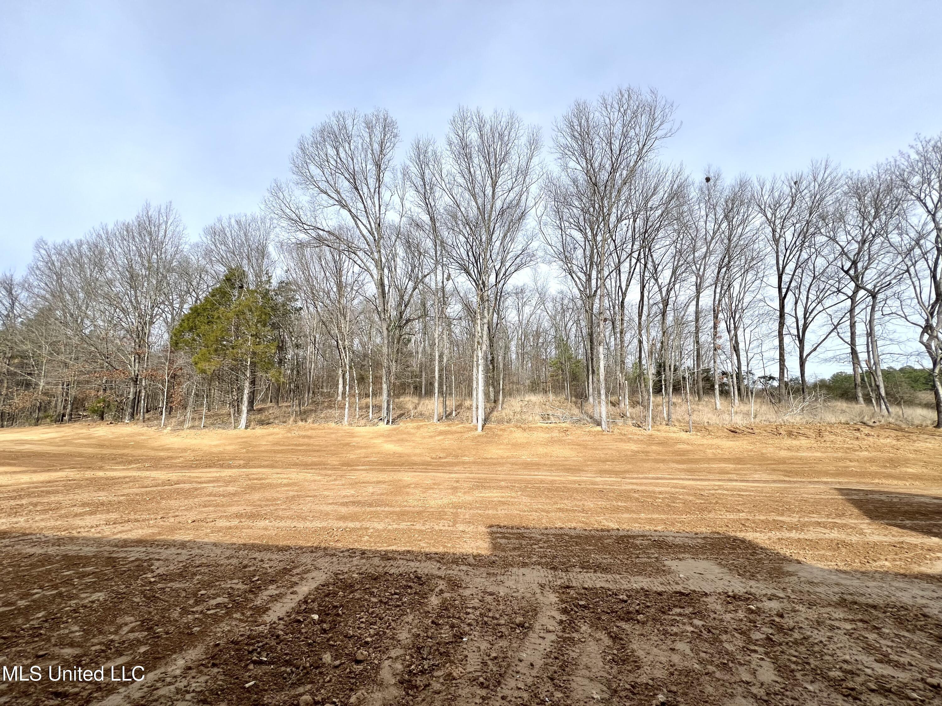 2142 Lauren Way Hernando, MS 38632 - Photo 5 of 40 IMG_5448