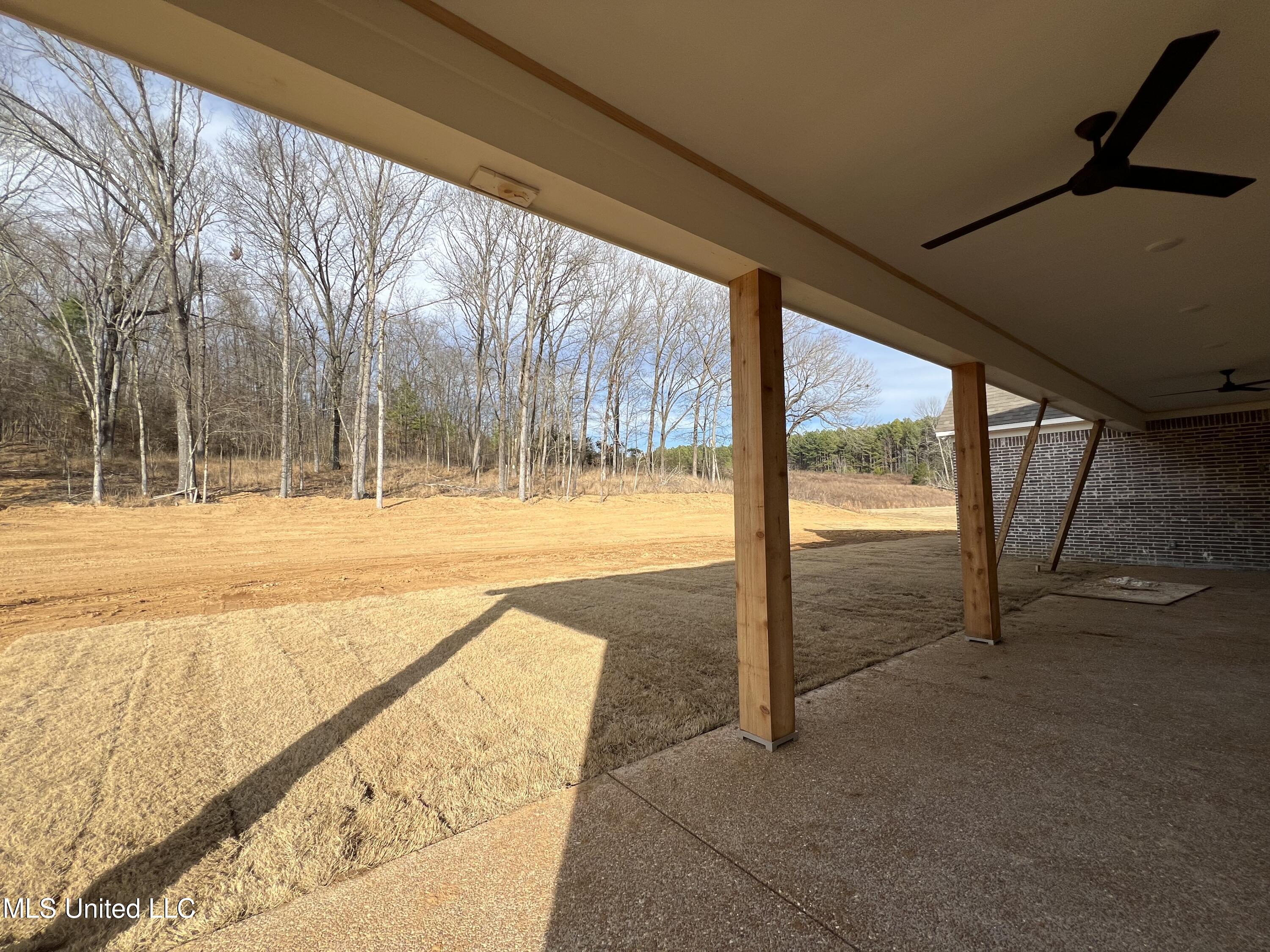 2142 Lauren Way Hernando, MS 38632 - Photo 7 of 40 IMG_5559