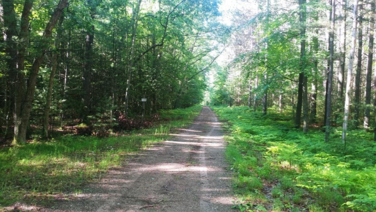Par A-3 Spruce Road Idlewild, MI 49642 - Photo 3 of 6 0626190916