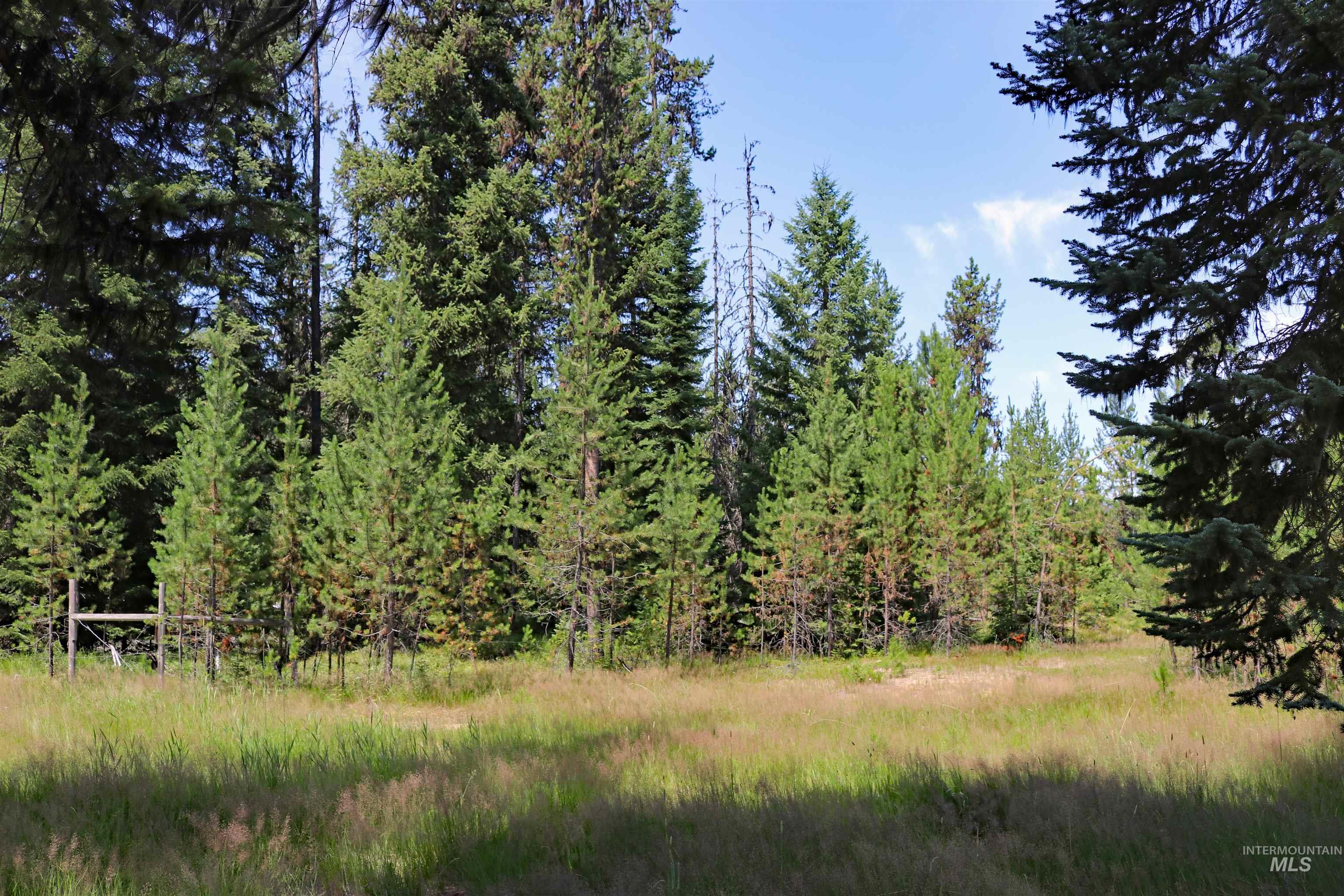 1201 Pfi Extension Elk City, ID 83525 - Photo 35 of 50