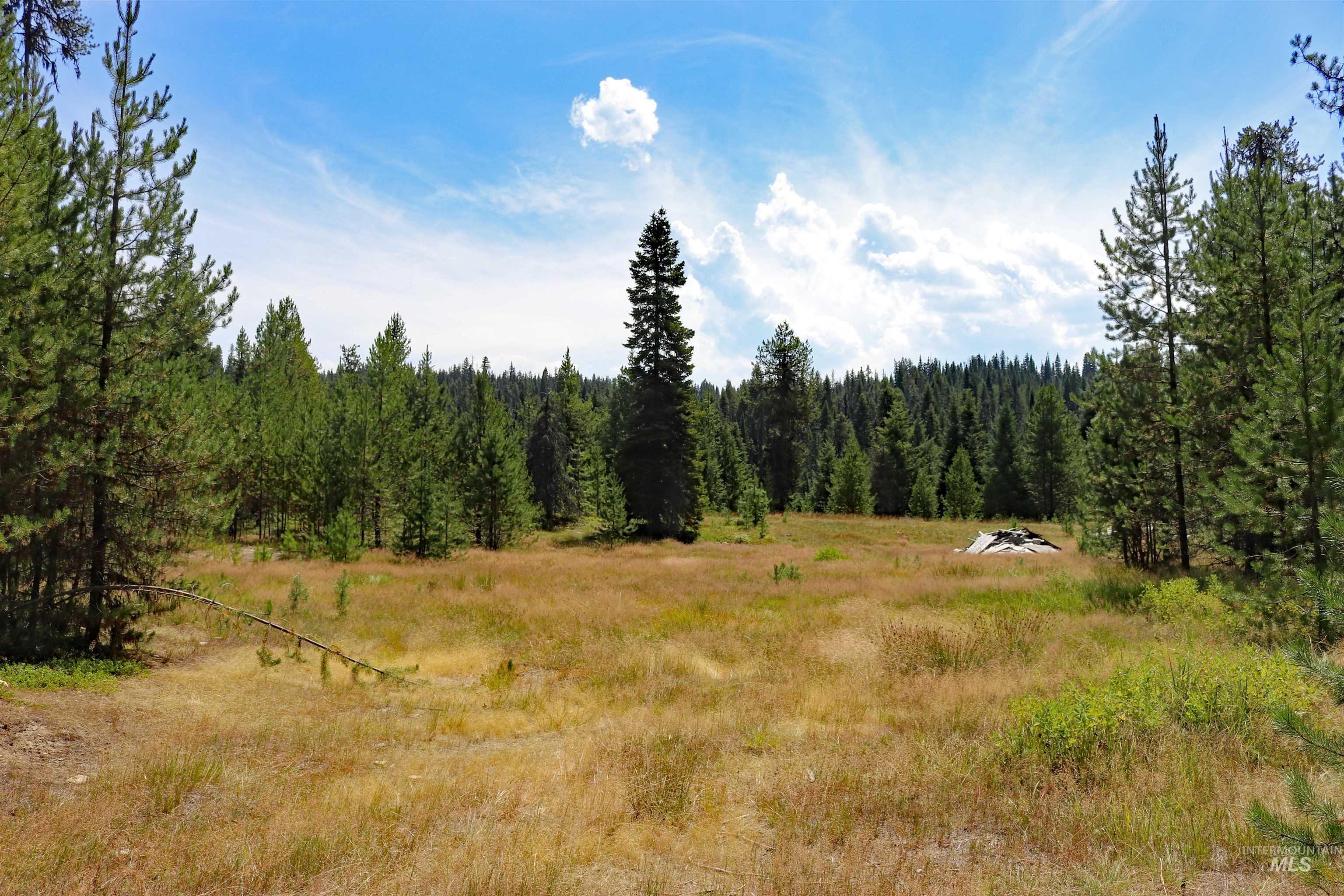 1201 Pfi Extension Elk City, ID 83525 - Photo 4 of 50