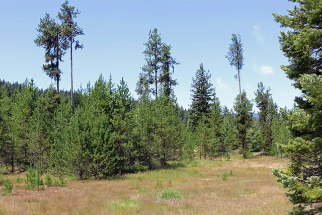 $275,000 | 1201 Pfi Extension, Elk City, ID 83525