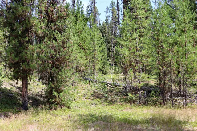 $275,000 | 1201 Pfi Extension, Elk City, ID 83525