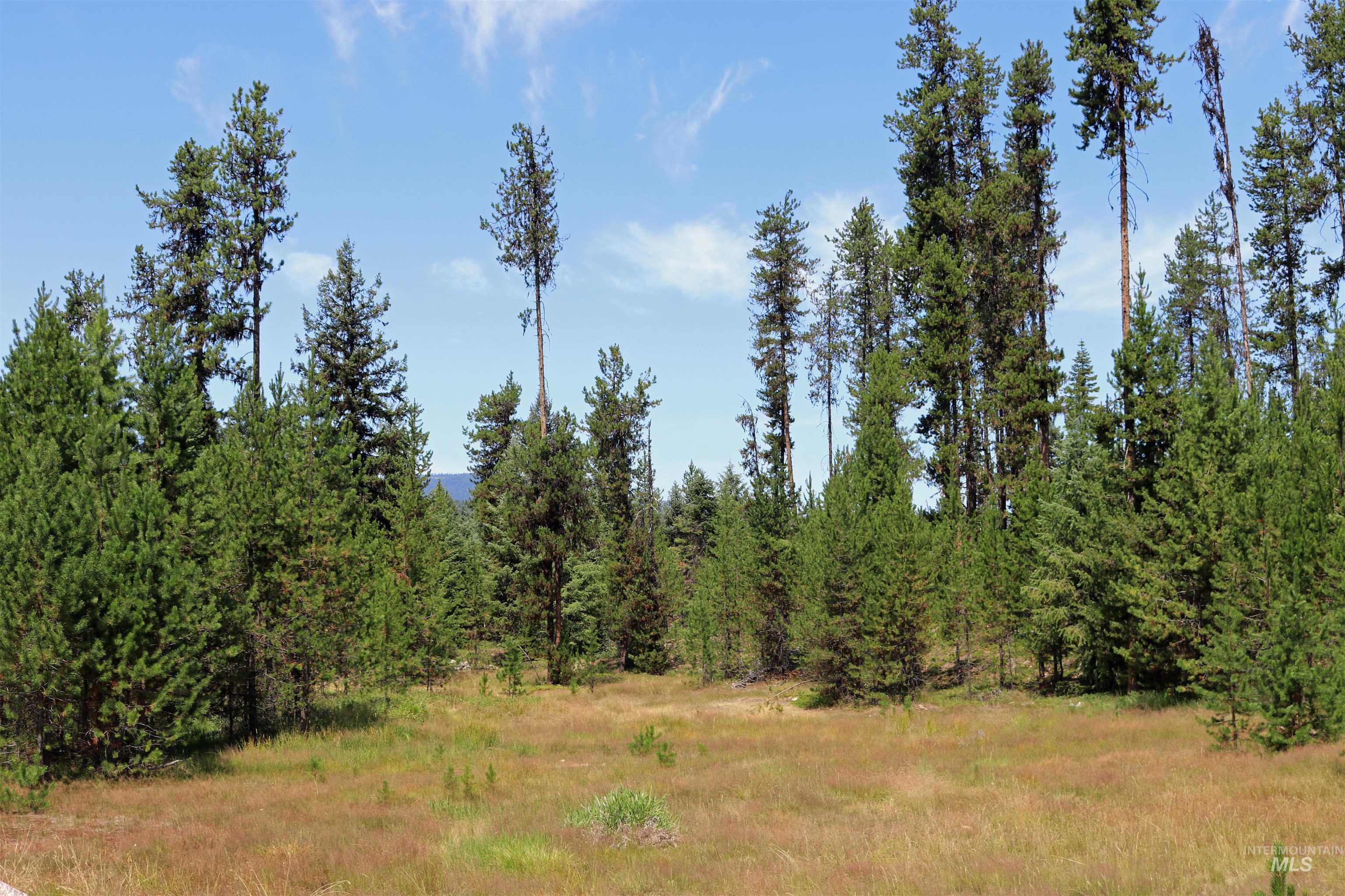 1201 Pfi Extension Elk City, ID 83525 - Photo 44 of 50