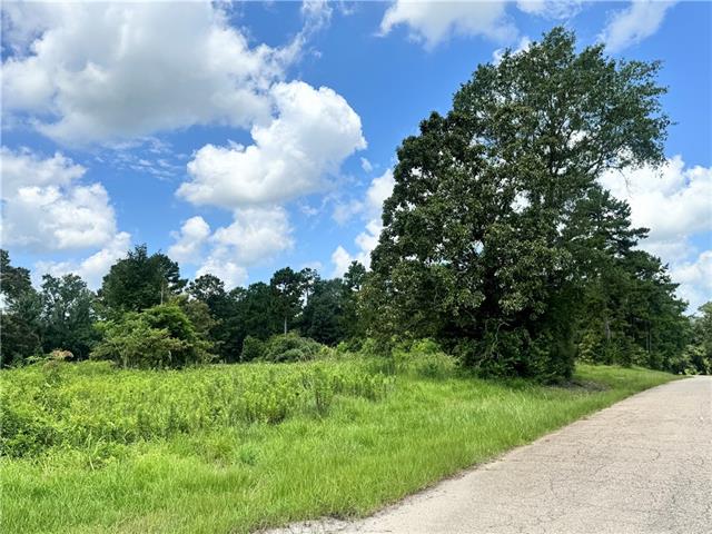 72045 South Lewiston Road Kentwood, LA 70444 - Photo 12 of 17