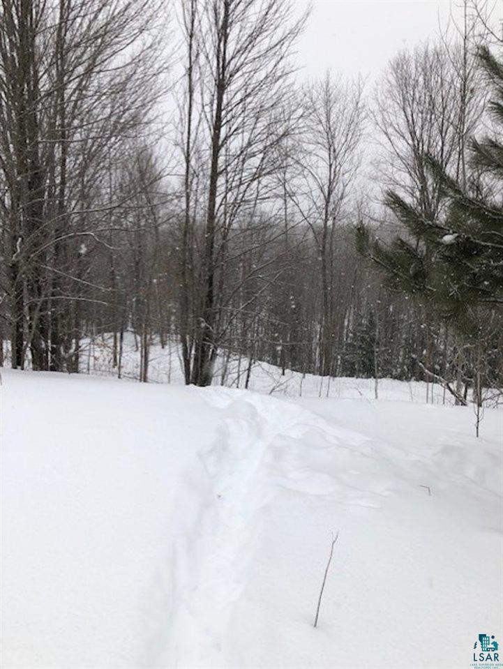 0 North York Road High Bridge, WI 54846 - Photo 1 of 4 Gallery Image 1