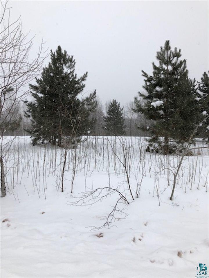 0 North York Road High Bridge, WI 54846 - Photo 2 of 4 Gallery Image 2